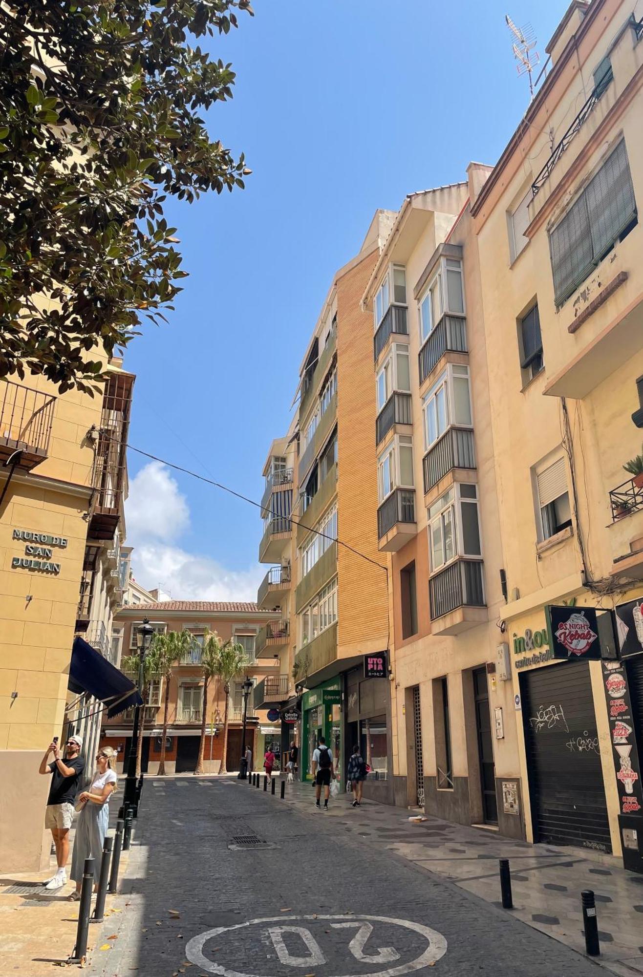 Lejlighed Buenaventura Málaga